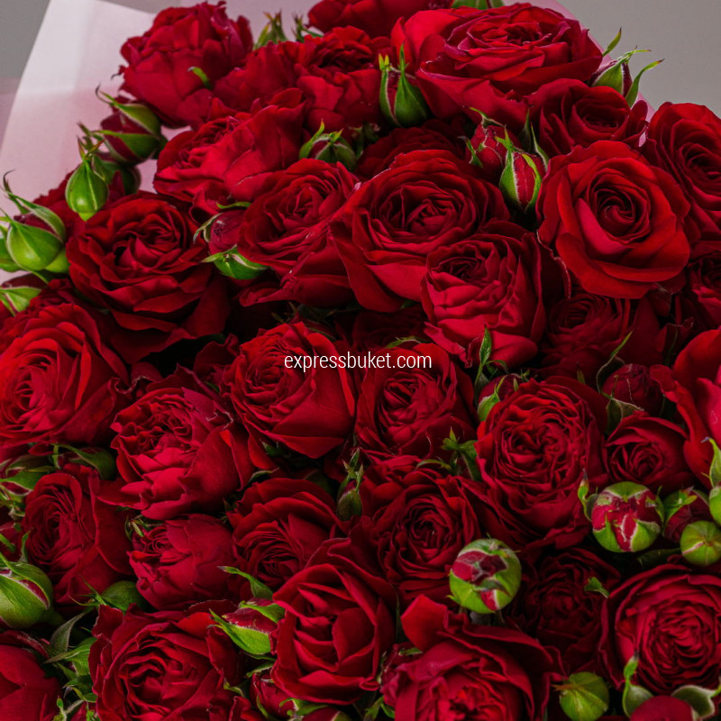 Нежное прикосновение