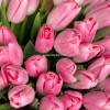 Нежно-розовые тюльпаны, 51 шт