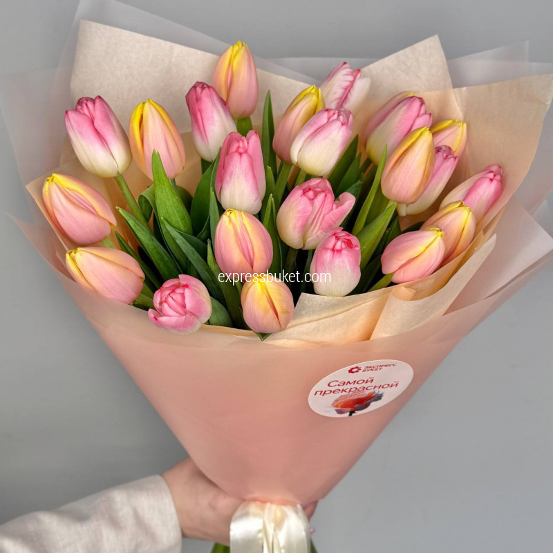 Тюльпаны солнечные 23 штуки