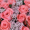 Букет из 13 роз сорта Карина с зеленью